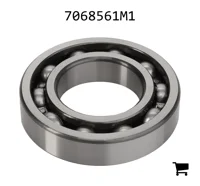 AGCO 7068561M1 Шариковый подшипник