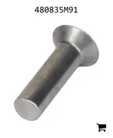 AGCO 480835M91 Заклепка