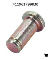 AGCO 411961700030 Болт