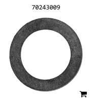 AGCO 70243009 Кольцо