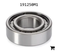AGCO 191250M1 Цилиндрический роликовый радиальный подшипник
