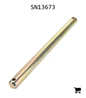 AGCO SN13673 Палец