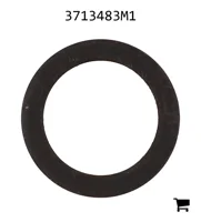 AGCO 3713483M1 Упрочнённая шайба