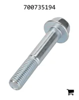AGCO 700735194 Болт