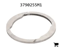 AGCO 3790255M1 Шайба