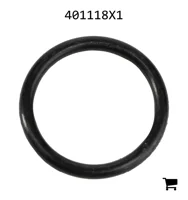 AGCO 401118X1 Уплотнительное кольцо