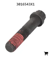 AGCO 3016543X1 Винт с 12-гранной головкой с фланцем