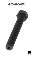AGCO 4254654M1 Винт с шестигранной головкой