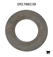 AGCO SM1700230 Шайба