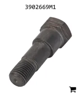 AGCO 3902669M1 Винт