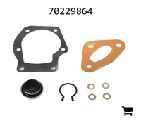 AGCO 70229864 Ремонтный комплект