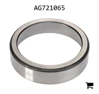 AGCO AG721065 Коническая обойма роликового подшипника