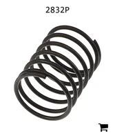 AGCO 2832P Пружина