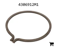 AGCO 4306912M1 Кольцо