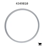 AGCO 4349810 Кольцо