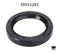 AGCO 395522X1 Радиальное уплотнительное кольцо передней оси