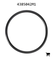 AGCO 4385042M1 Уплотнительное кольцо вспомогательного распределителя