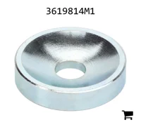 AGCO 3619814M1 Упорная шайба