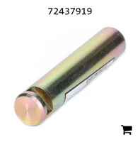 AGCO 72437919 Болт