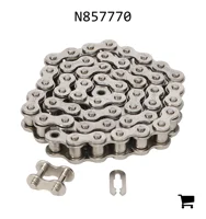 AGCO N857770 Цепь ролика
