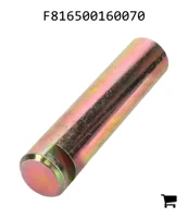 AGCO F816500160070 Болт