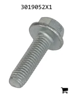 AGCO 3019052X1 Самонарезающий винт с шестигранной головкой и шайбой