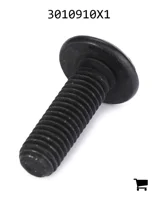 AGCO 3010910X1 Винт с цилиндрической головкой