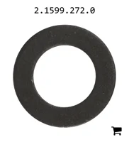 AGCO 2.1599.272.0 Шайба