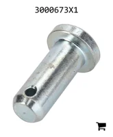 AGCO 3000673X1 Палец вилки