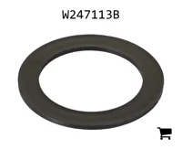 AGCO W247113B Шайба