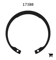 AGCO 17380 Кольцо