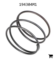 AGCO 194304M1 Пружина