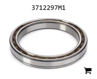 AGCO 3712297M1 Подшипниковый узел