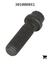 AGCO 3010008X1 Винт с 12-гранной головкой с фланцем