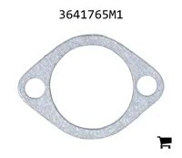 AGCO 3641765M1 Прокладка