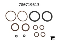 AGCO 700719613 Ремкомплект