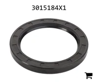AGCO 3015184X1 Радиальное уплотнительное кольцо