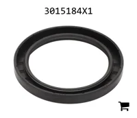 AGCO 3015184X1 Радиальное уплотнительное кольцо