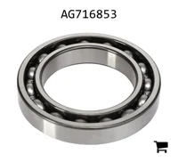 AGCO AG716853 Шариковый подшипник