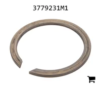 AGCO 3779231M1 Стопорное кольцо