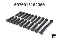 AGCO 0070013102000 Колесный болт