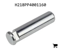 AGCO H218PP4001160 Болт