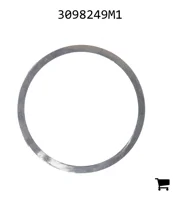 AGCO 3098249M1 Шайба