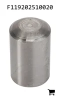AGCO F119202510020 Поршень