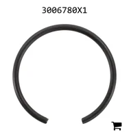 AGCO 3006780X1 Стопорное кольцо