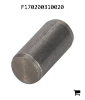 AGCO F170200310020 Палец