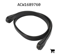 AGCO ACW1689760 Угловой кронштейн