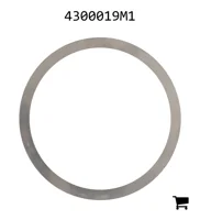 AGCO 4300019M1 Регулировочная шайба