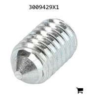 AGCO 3009429X1 Установочный винт с шестигранной головкой