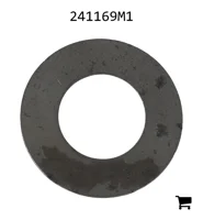 AGCO 241169M1 Шайба